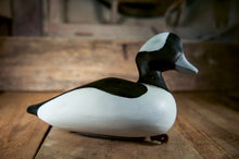 Load image into Gallery viewer, Large Bufflehead