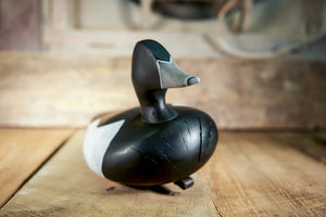 Ringneck Duck