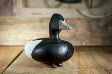 Load image into Gallery viewer, Ringneck Duck