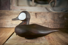 Load image into Gallery viewer, Ruddy Duck