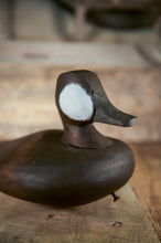 Load image into Gallery viewer, Ruddy Duck